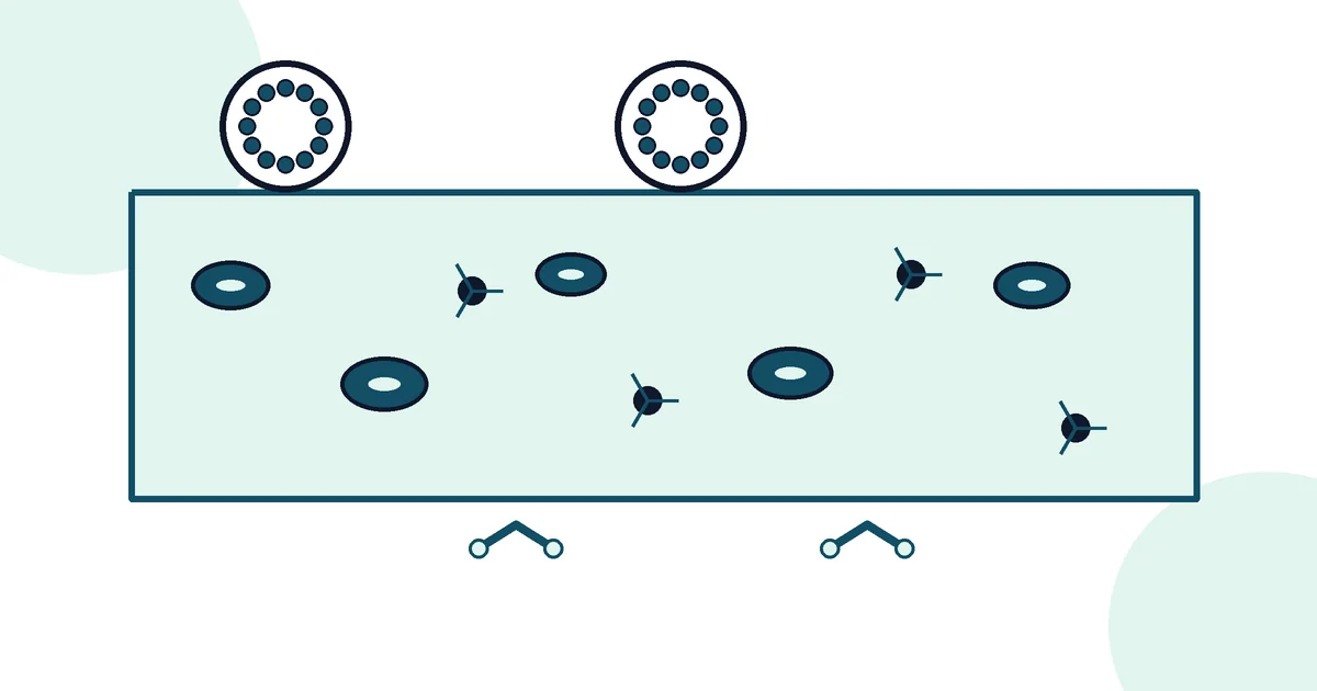 Iron Studies Explained - LabWise Biomed educational illustration