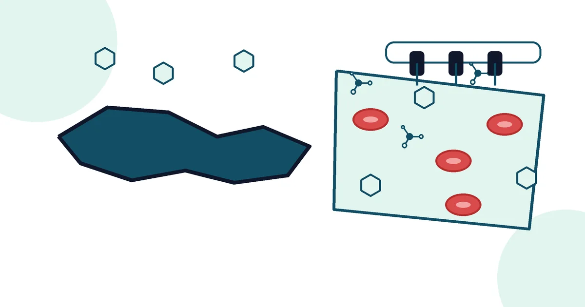 Type 2 Diabetes Blood Tests Explained - LabWise Biomed educational illustration