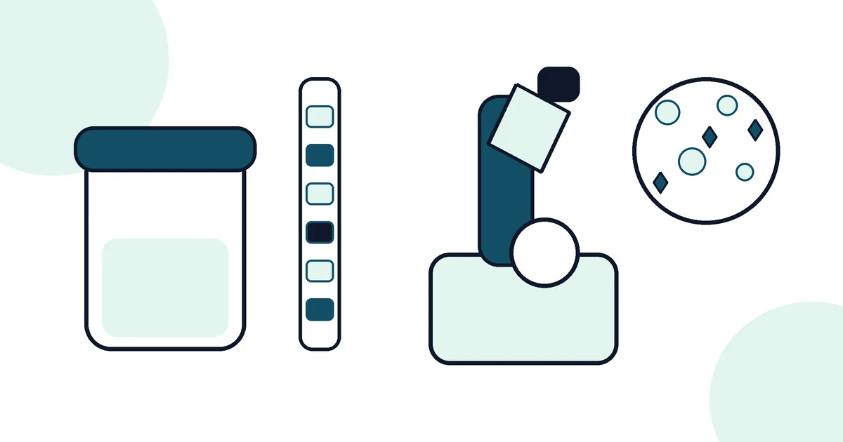 Urinalysis Explained - LabWise Biomed educational illustration
