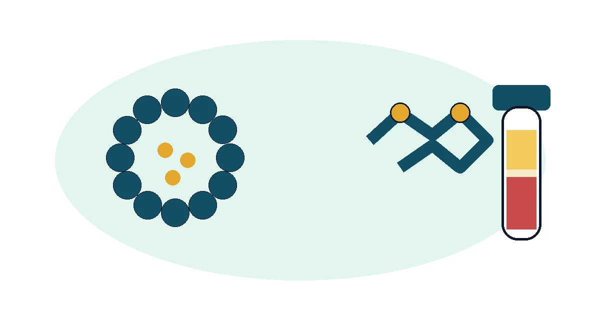 Ferritin vs serum iron blood test comparison diagram
