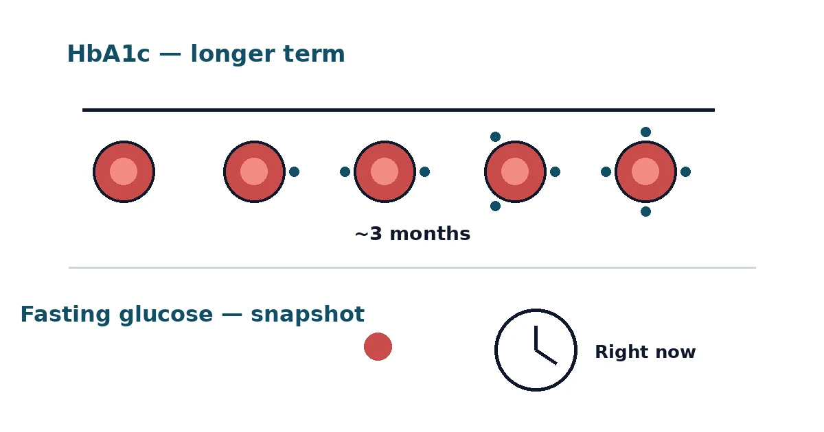 HbA1c vs Fasting Glucose diagram — long-term average versus point-in-time measurement