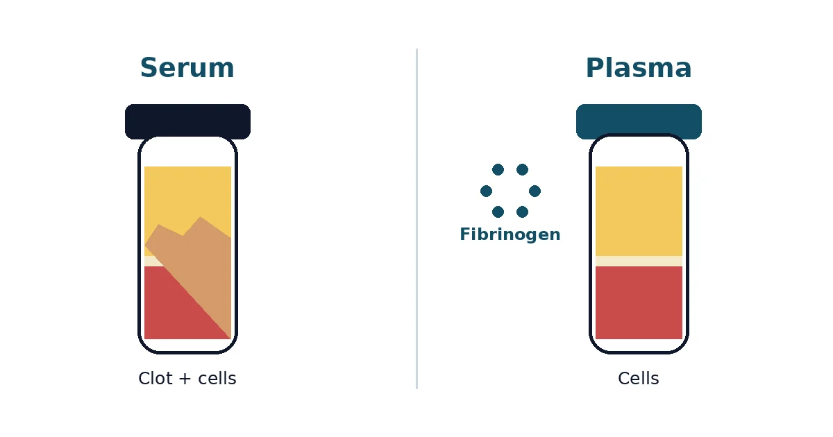 Serum vs Plasma diagram — clotted blood produces serum, anticoagulated blood produces plasma